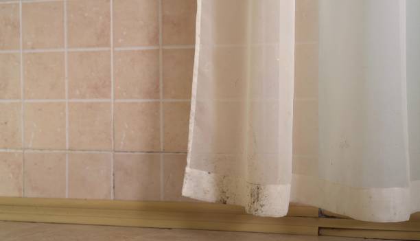 Best Biohazard Mold Removal  in Edmonton, KY