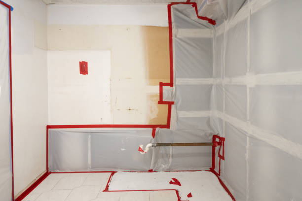 Best Post-Remediation Verification Testing  in Edmonton, KY