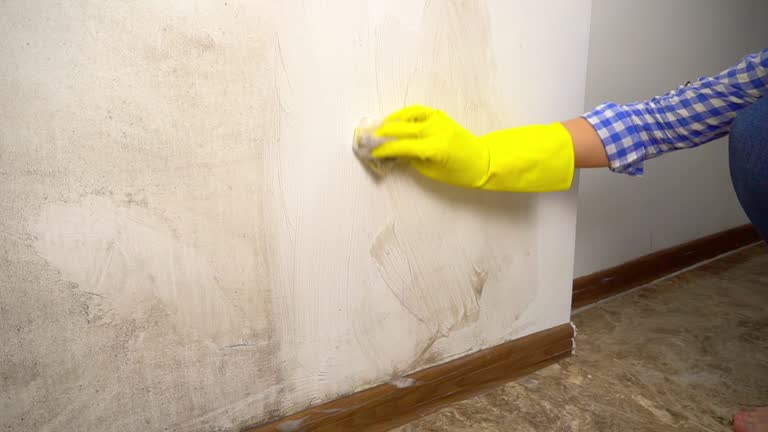 Mold Documentation for Insurance Claims in Edmonton, KY