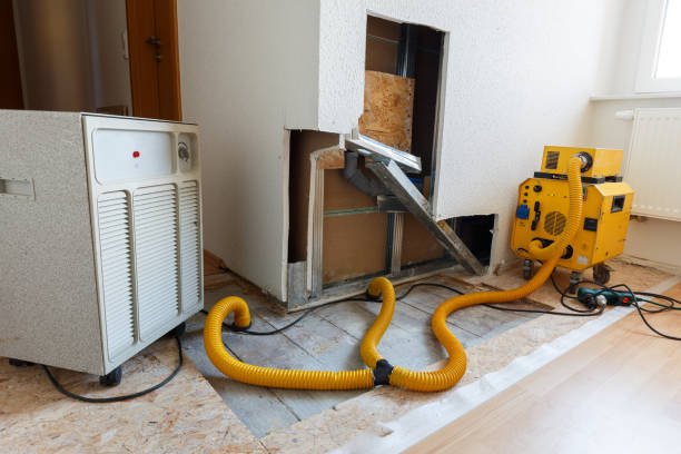 Best Forensic Mold Investigation  in Edmonton, KY