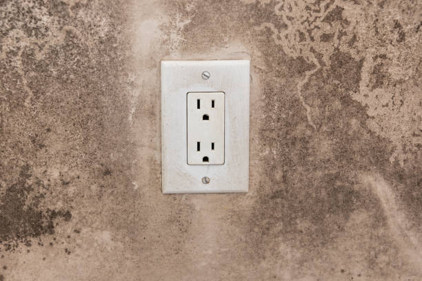 Asbestos and Lead Testing During Mold Inspection in Edmonton, KY