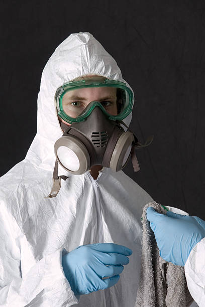 Best Mold Odor Removal Services  in Edmonton, KY